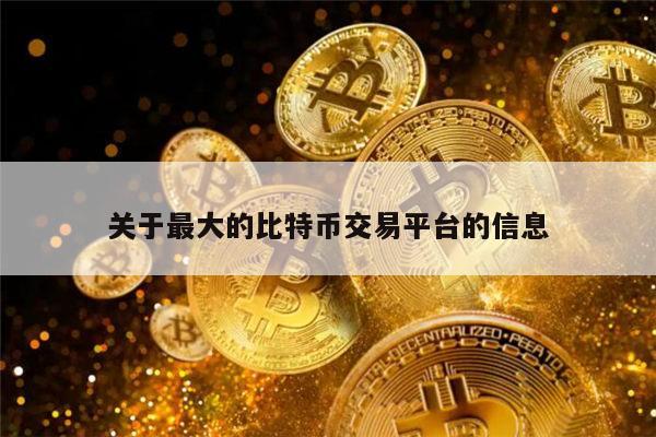 比特币交易额是多少,比特币交易的数量是多少